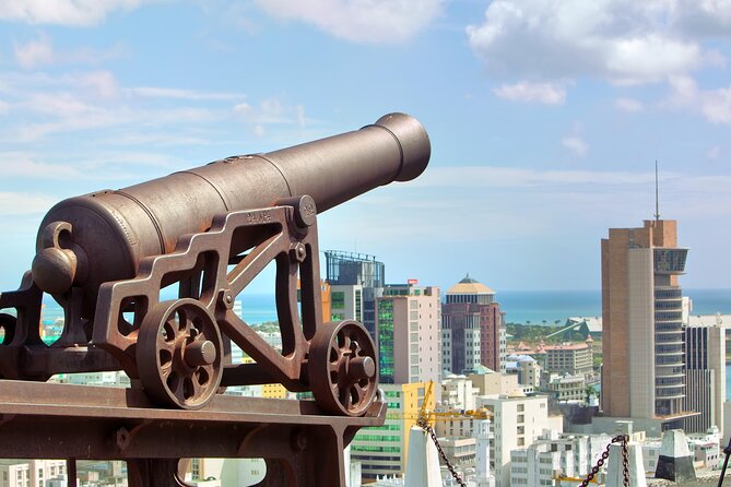 Port Louis and Pamplemousses Garden - A full day trip - Fort Adelaide gives you the clearest city view