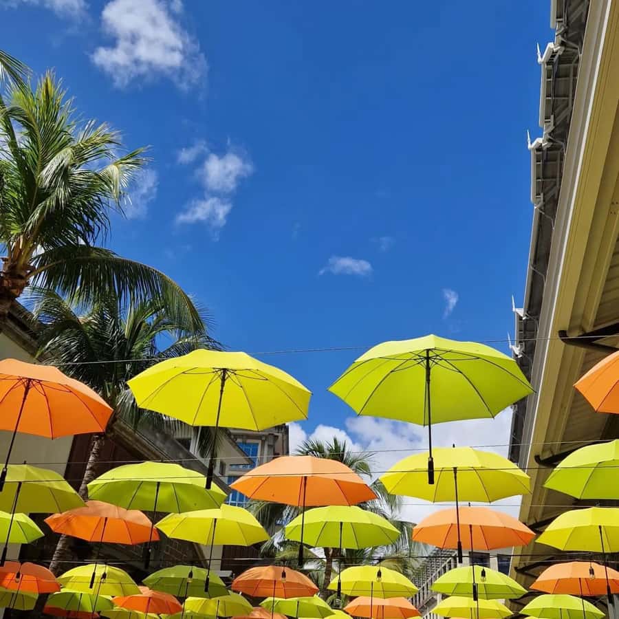 Port Louis: City Tour with Street Food Tasting - Starting from your hotel across Mauritius