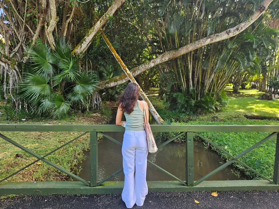 Port Louis: Mont Choisy, Botanical Garden, and Church Tour - Timing, comfort, and what to bring