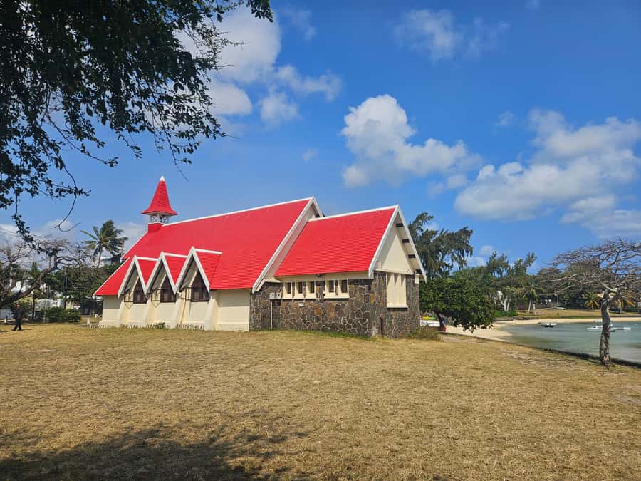 Port Louis: Mont Choisy, Botanical Garden, and Church Tour - Pamplemousses Botanical Garden: the day’s calm center