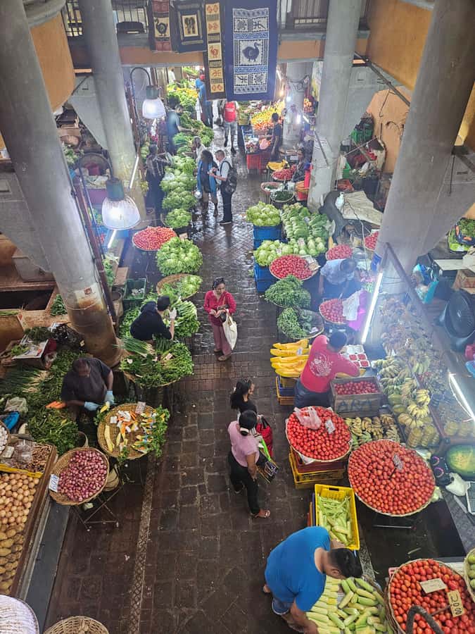 Port Louis: Mont Choisy, Botanical Garden, and Church Tour - Grand Baie and La Croisette: a modern north-coast contrast