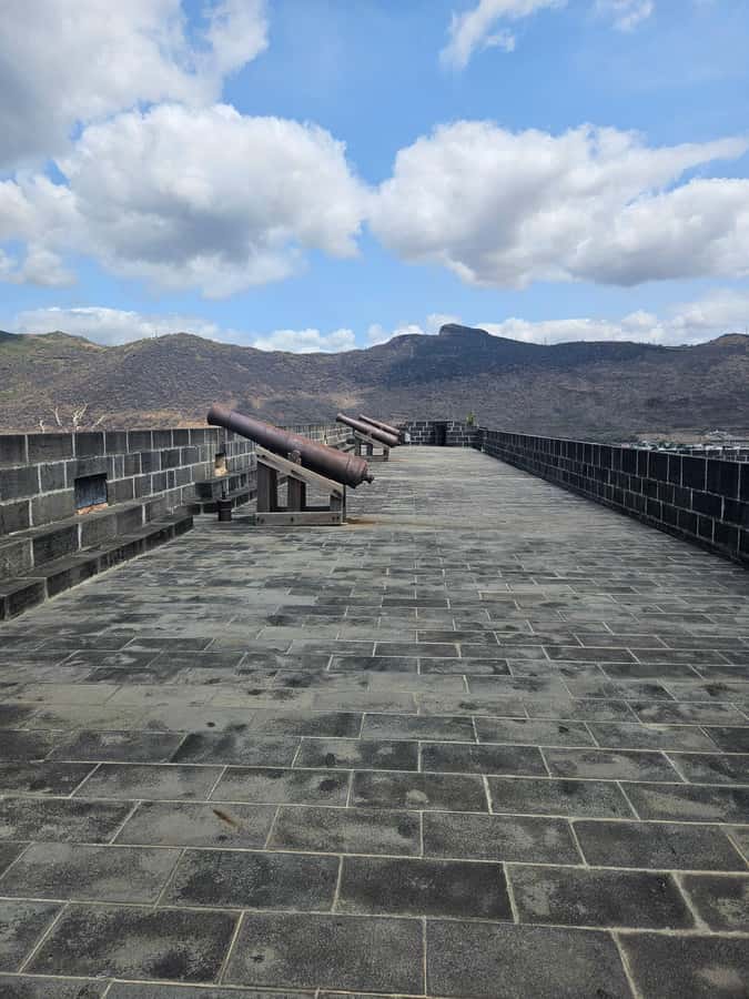 Port Louis: Mont Choisy, Botanical Garden, and Church Tour - The guide can make or break the experience
