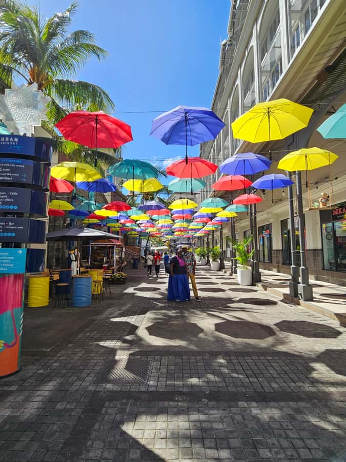 Port Louis: Mont Choisy, Botanical Garden, and Church Tour - Port Louis: market, waterfront, and Citadel