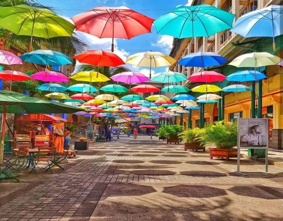 Port Louis: Northern Treasures Private Tour - Starting in Port Louis at Fort Adelaide