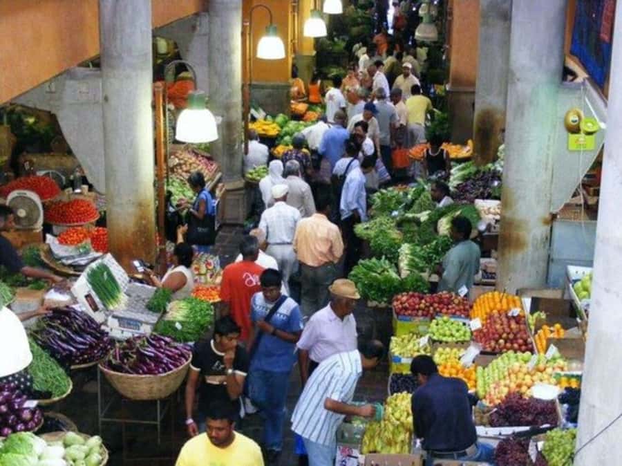 Port Louis: Private Guided Sightseeing Tour - Pamplemousses Garden, the day’s botanical centerpiece