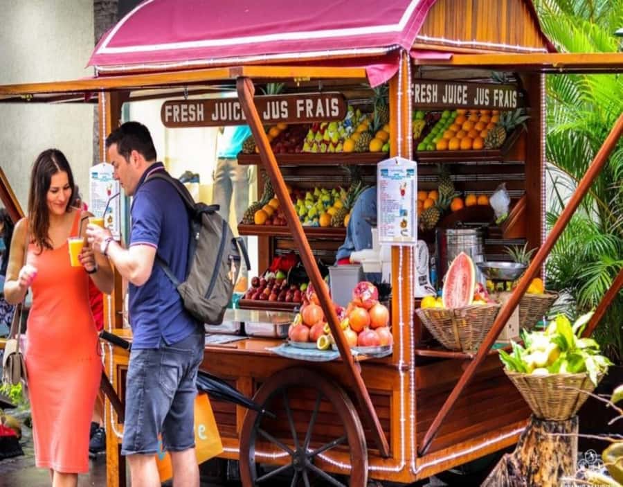 Port Louis: Private Guided Tour and Street Food Tasting - Starting in Port Louis with a private car