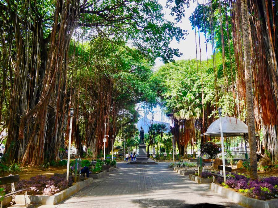 Port Louis: Street Eats and City Highlights Walking Tour - Key Things To Know Before You Go
