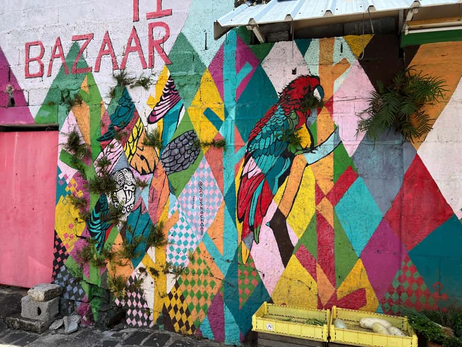 Port Louis: Street Food & City Tour - Price, pace, and practical value