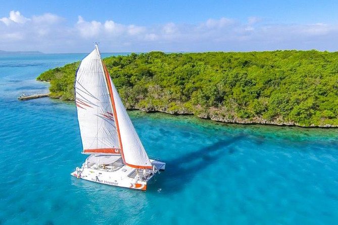 Private Charter Full Day Cruise: Île aux Cerfs - Cruising Toward Île aux Cerfs