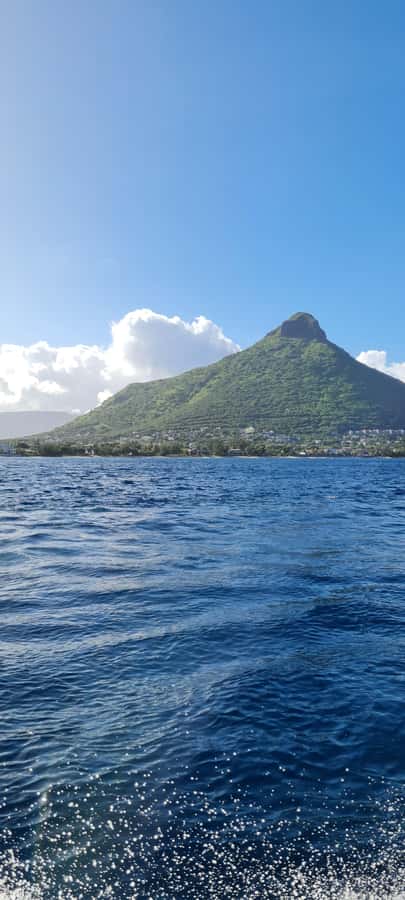 Private Dolphin Snorkeling Tour. Equipment available Free. - Who Will Enjoy This Most?