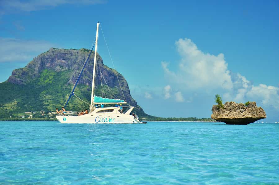 Private Dolphin Swim/Snorkeling & Lunch on Benitiers island - At a glance