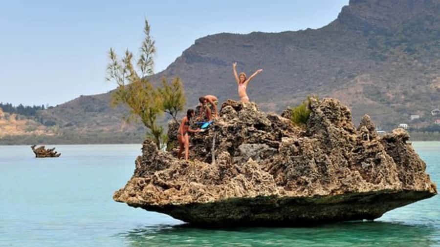 Private Dolphin Swim/Snorkeling & Lunch on Benitiers island - Setting Out by Speedboat from Mauritius