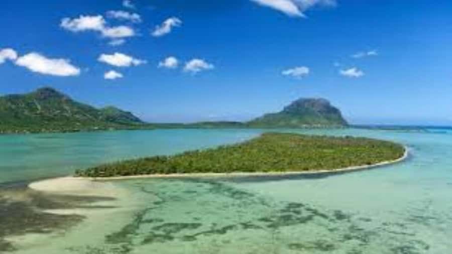 Private Dolphin Swim/Snorkeling & Lunch on Benitiers island - Final Verdict: Book It for Privacy and Variety