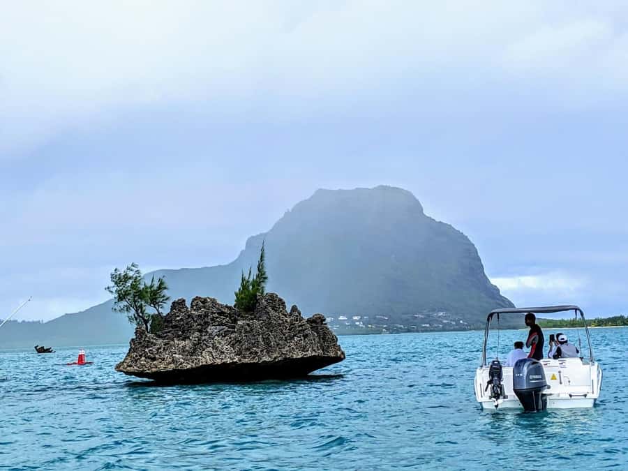 Private Dolphin Swim/Snorkeling & Lunch on Benitiers island - Swimming with Dolphins near Tamarin