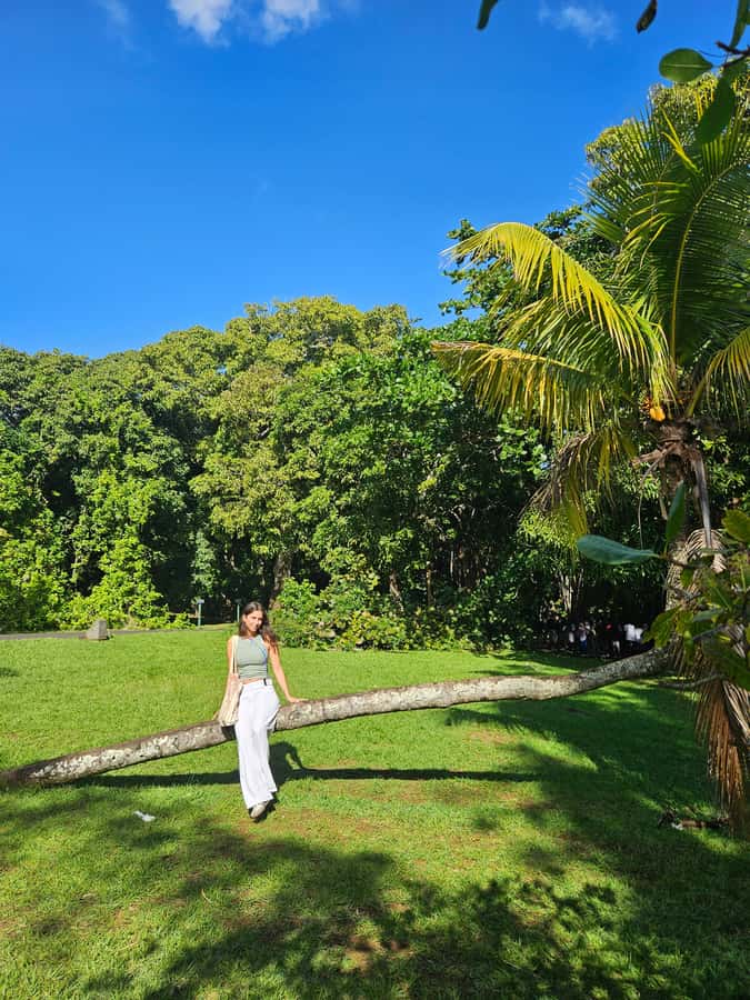 PRIVATE FULL-DAY NORTH AND SOUTH TOUR - Marie Reine De La Paix and the Port Louis view