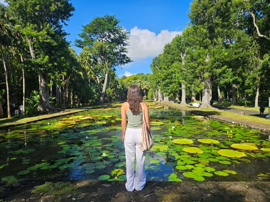 PRIVATE FULL-DAY NORTH AND SOUTH TOUR - Chamarel Waterfall and the seven colored earth