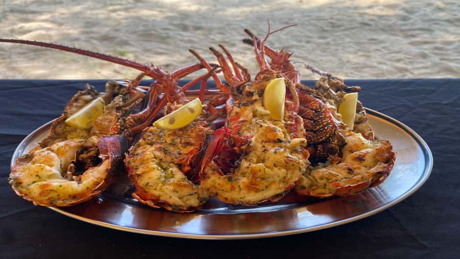 Private Île aux Bénitiers Boat: Dolphin Snorkeling & Lobster - Five Details That Shape the Day