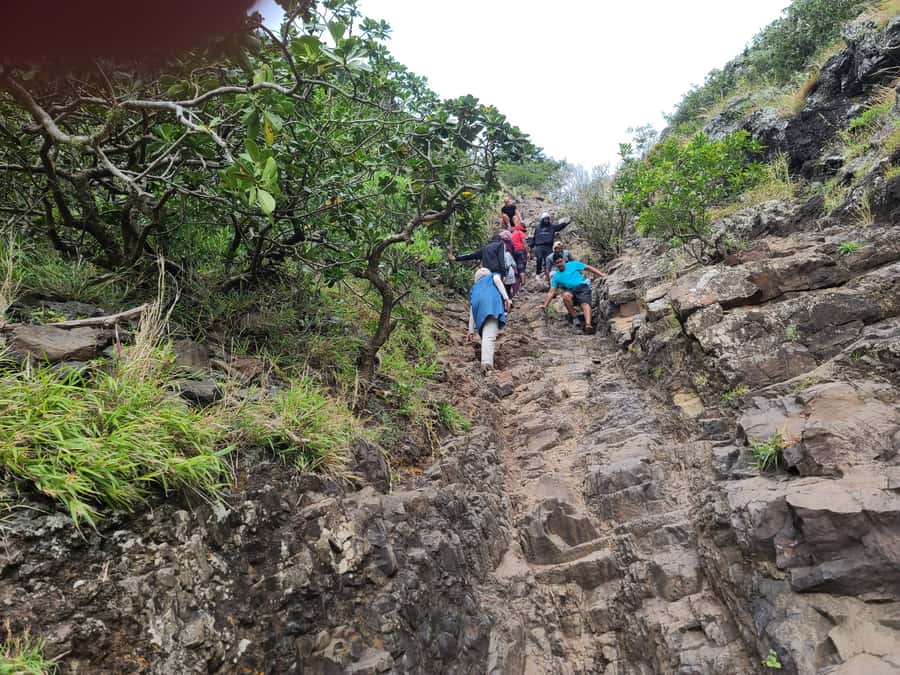 PRIVATE LeMorne Mountain Picturesque Hike-UNESCO Recognised - A guide makes the difference
