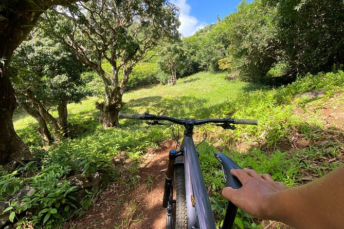 Private Mountain Biking Experience in the Wild South of Mauritius - Reaching the private trails at Chamouny