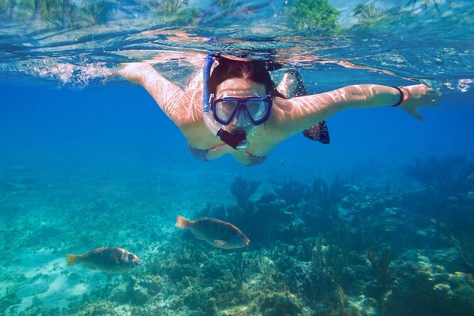 Private speed boat to Ile aux Cerfs full-day Incl: Lunch & Transfer - What the $371.08 group price really covers