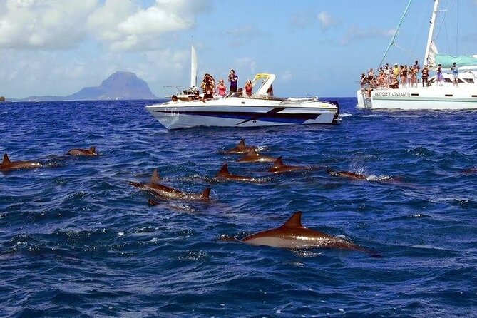 Private Speed Boat Tour and Dolphin Encounter at Ile aux Benitier - Lunch and beach time on Ile aux Benitiers