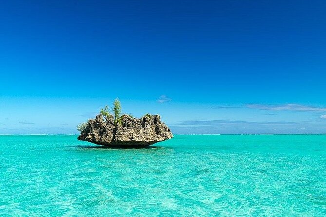 Private Speed Boat Tour and Dolphin Encounter at Ile aux Benitier - How the private boat affects the value