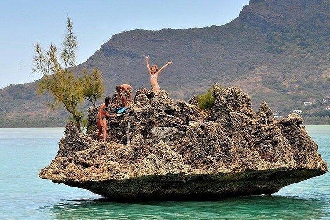 Private Speed Boat Tour and Dolphin Encounter at Ile aux Benitier - Who should book this dolphin and Crystal Rock tour?