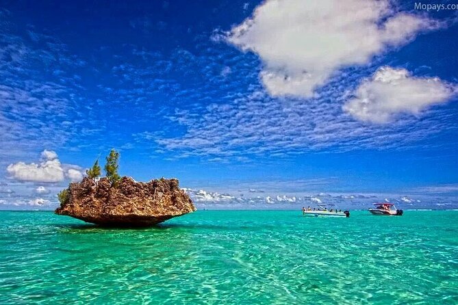 Private Speed Boat Tour and Dolphin Encounter at Ile aux Benitier - Should you book it?
