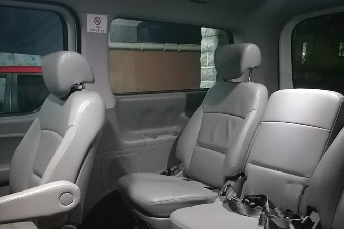 Private Transfer from Airport to Hotel in Mauritius - Families, luggage, and special requests
