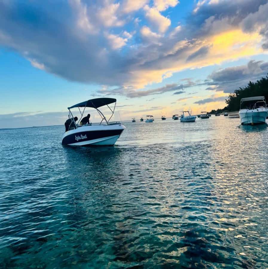 Private :Whales and dolphins watching/Swimming with dolphins - Le Morne from the water