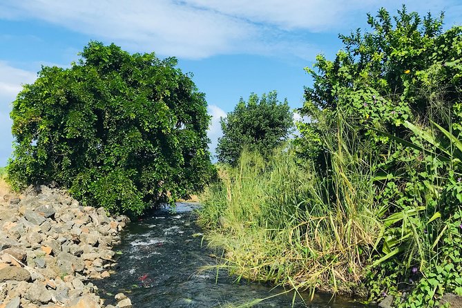 Quad Excursion South Mauritius 35km - The Natural Bridge and fresh island snacks