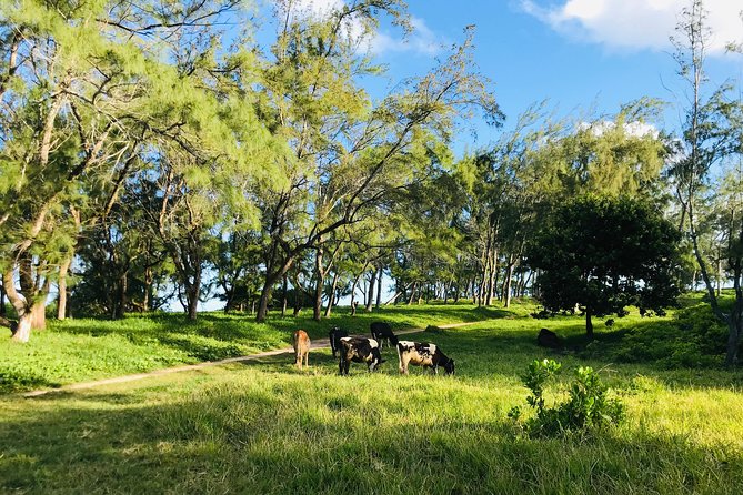 Quad Excursion South Mauritius 35km - Why the guides make such a difference