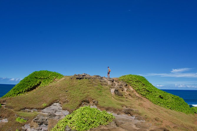 Randonnée - Le Sud Sauvage - Forest trails and volcanic cliffs