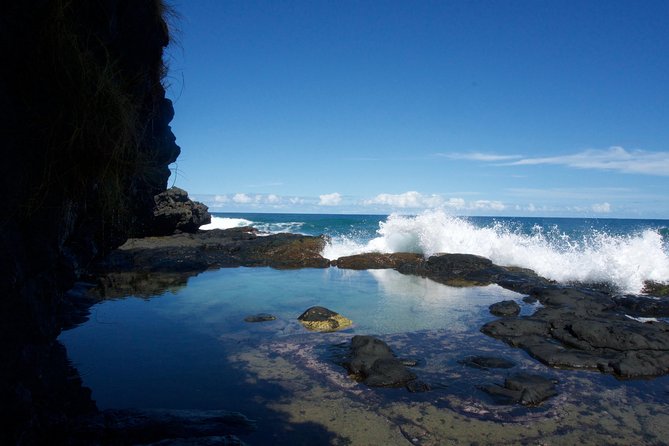 Randonnée - Le Sud Sauvage - A three-hour outing with a small group
