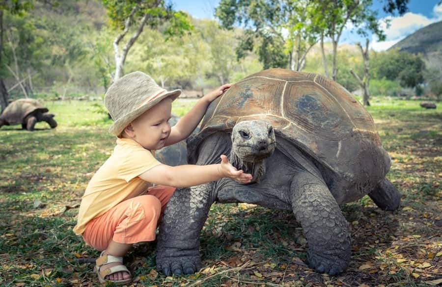Riambel: South Tour w/ Crocodile Park & Seven Colored Earth - Key points before you book