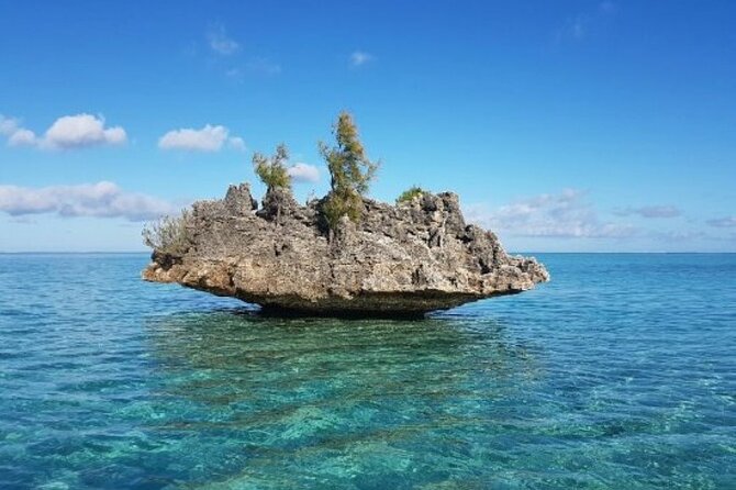 Shared 10 Pax Boat Tour: Dolphin Watching, Snorkelling and BBQ - Key points at a glance