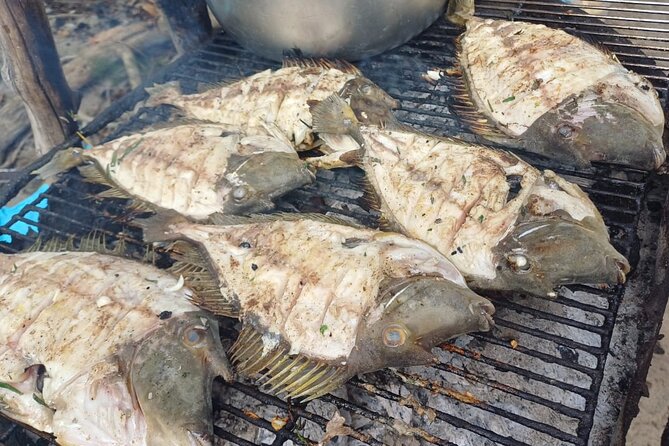 Shared 10 Pax Boat Tour: Dolphin Watching, Snorkelling and BBQ - A Mauritian BBQ served after the water activities