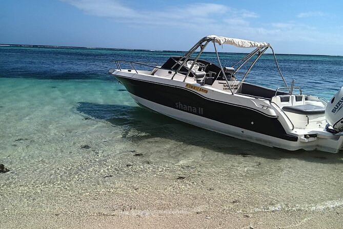 Shared 10 Pax Boat Tour: Dolphin Watching, Snorkelling and BBQ - The crew and the feel of the outing