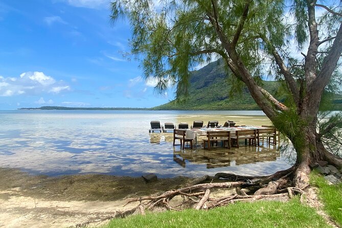 Signature Experience: Dolphins and Flavors of the Sea - Sea urchin fishing and tasting