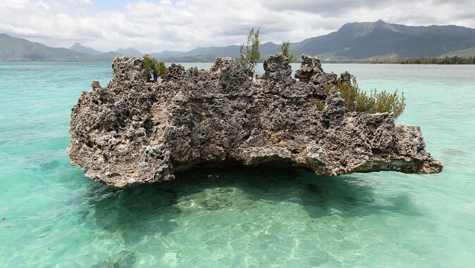 Snorkel with Dolphins, Lunch on Benitiers island, Speedboat - Key points to know before booking