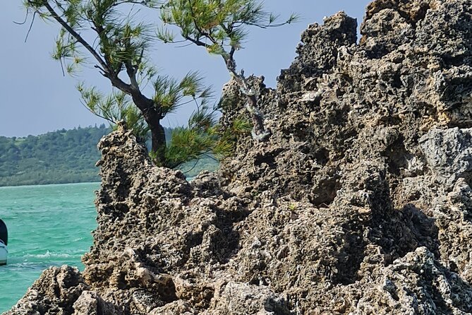 Snorkel with Dolphins, Lunch on Benitiers island, Speedboat - Crystal Rock and another chance to enter the water