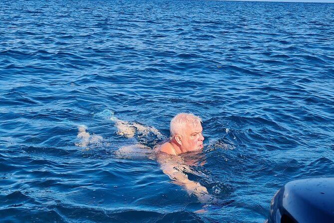 Snorkel with Dolphins, Lunch on Benitiers island, Speedboat - The three-hour pause at Ile aux Benitiers