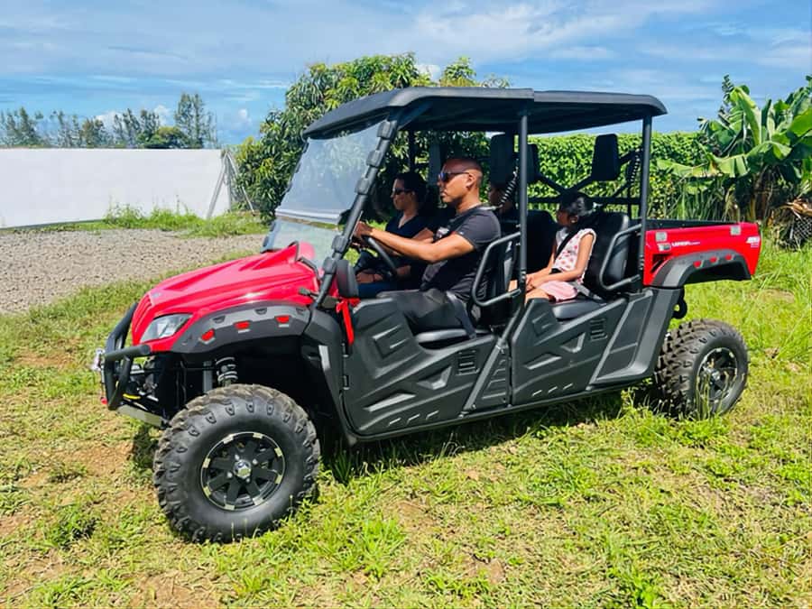South Mauritius : Buggy Tour - How the $293 price works for a private group