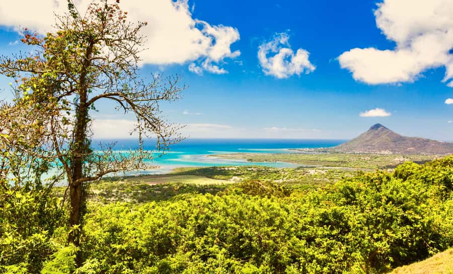 South of Mauritius : Full day Private with lunch & Chamarel - Black River Gorges viewpoints and changing roads