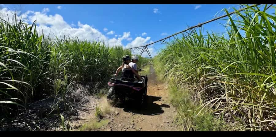 South of Mauritius: Quad Bike Tour - Sugarcane fields and dirt tracks