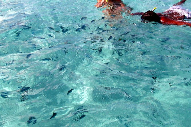 Spectacular Catamaran trip to Ile Aux Cerf with Lunch & Transfer - Barbecue lunch and unlimited local drinks