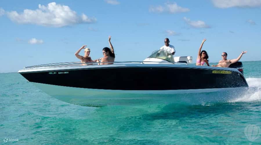 Speedboat to Ile aux Benitier: Dolphin Encounter & Lunch - Key points to know before you book