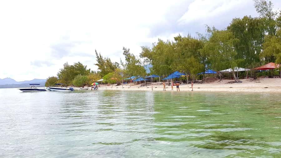 Speedboat to Ile aux Benitier: Dolphin Encounter & Lunch - What the $70 price really buys you