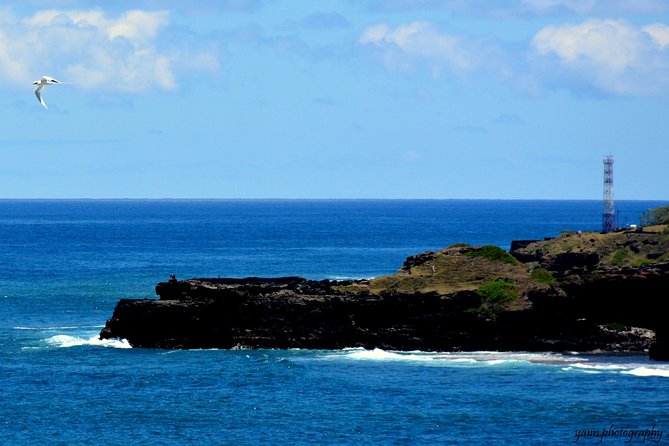 Sweet Scenic 30KM - Does the $198.66 price make sense?