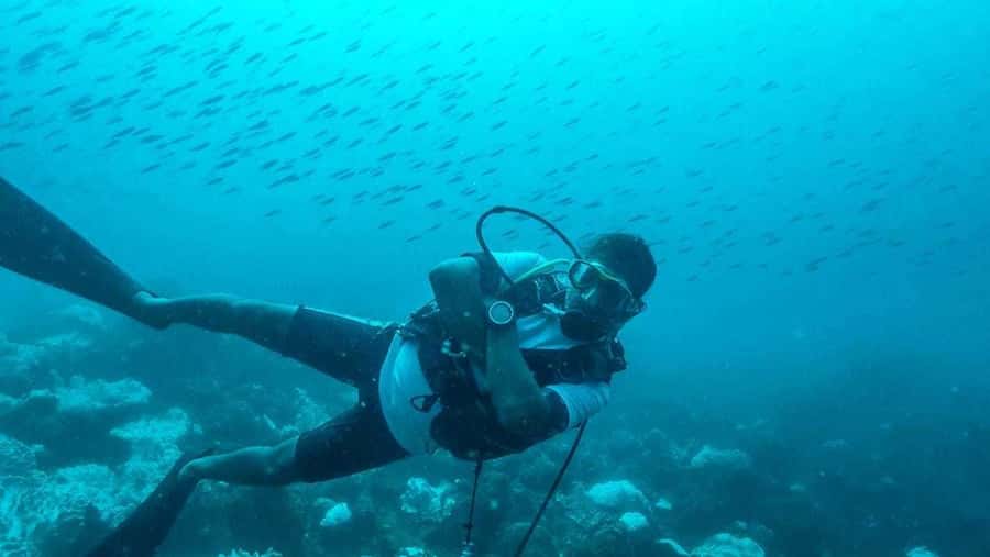 Tamarin Bay: Beginners Scuba Diving Experience - Why this Tamarin activity works for first-timers